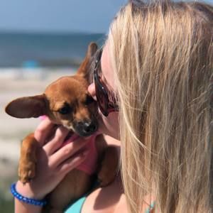 Meet your Posher, Sumerlin